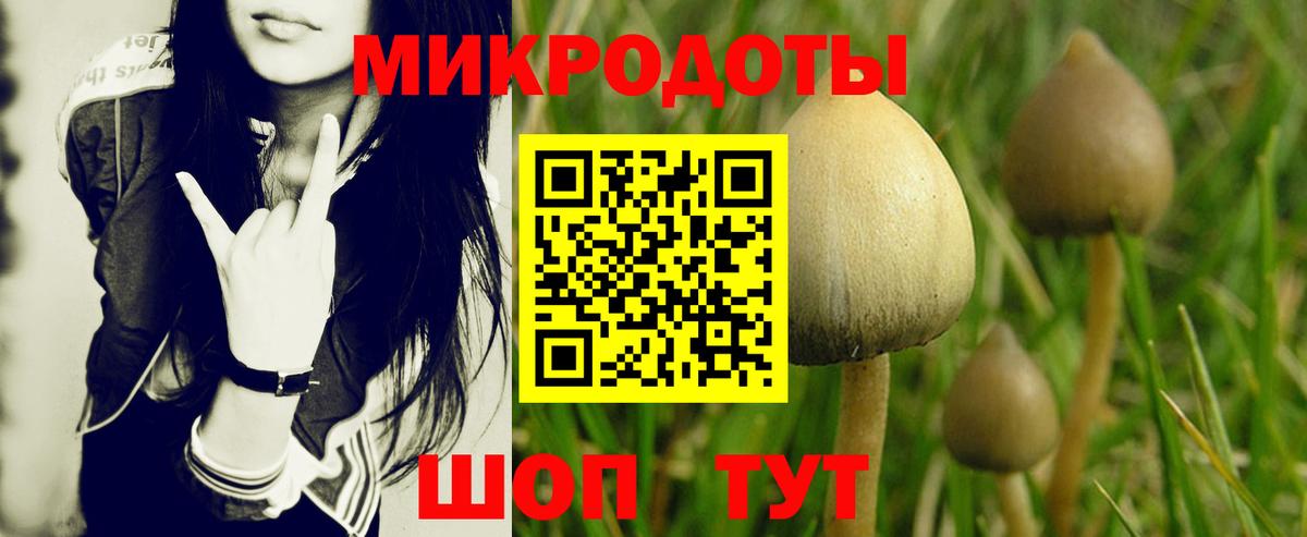 Псилоцибиновые грибы прущие грибы  Вход с VPN  Новоалтайск  Псилоцибиновые грибы Magic Shrooms 